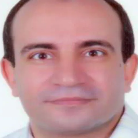 مصطفى السيد الشربينى